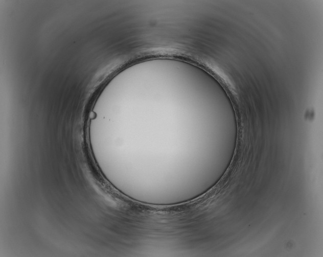 X0000093250486200709261600