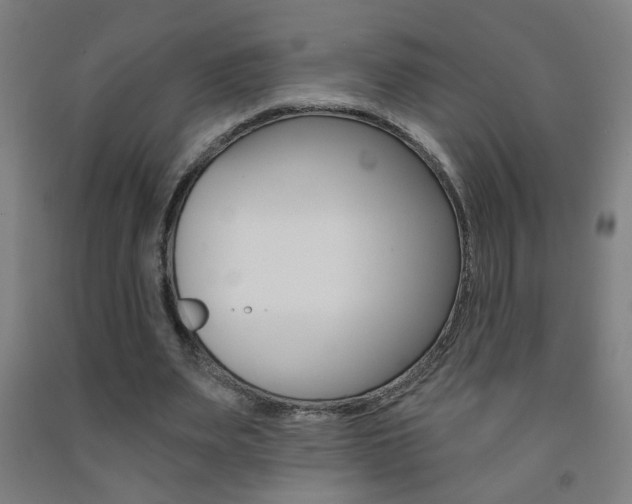 X0000093250487200709261600