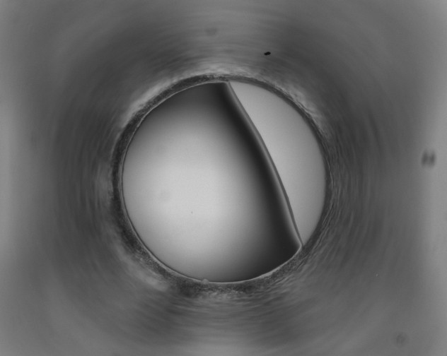 X0000093250488200709261600