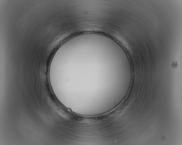 X0000093250490200709261600