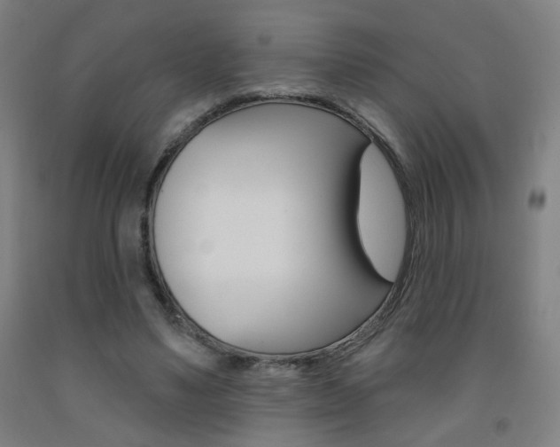 X0000093250491200709261600