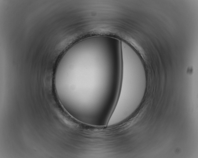 X0000093250493200709261600