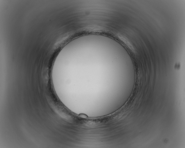 X0000093250494200709261600