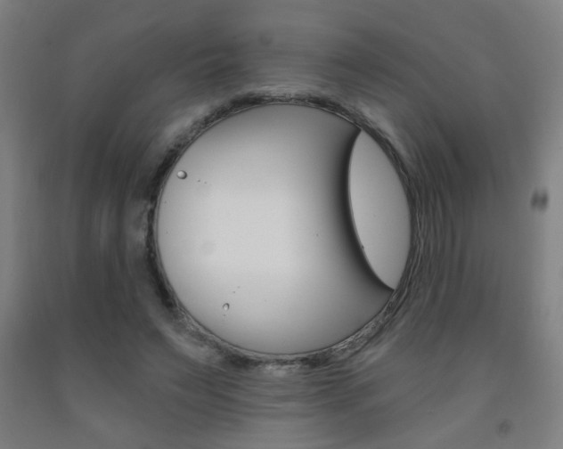 X0000093250495200709261600