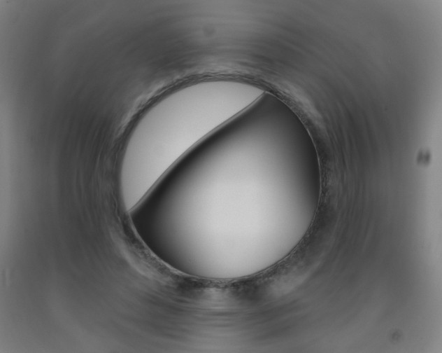 X0000093250496200709261600