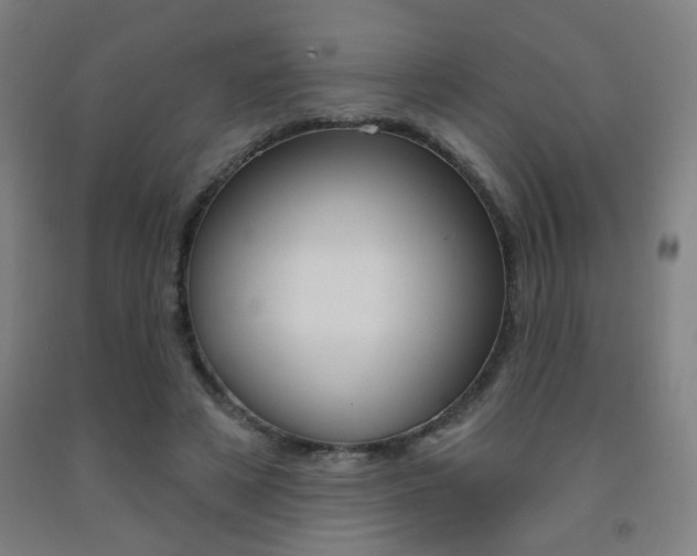 X0000093250497200709261600