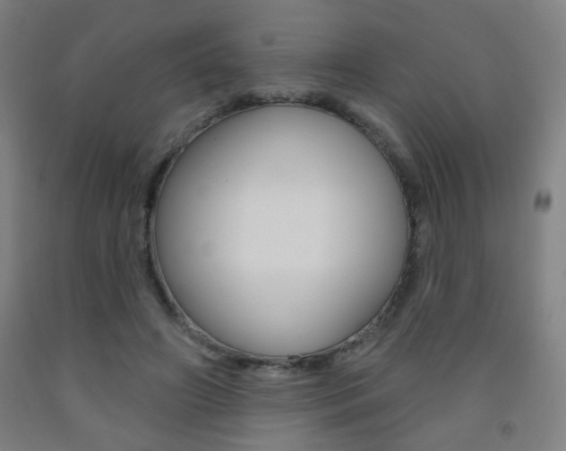 X0000093250498200709261600