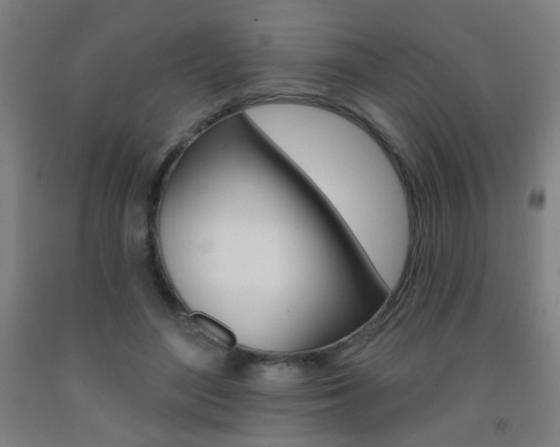 X0000093250500200709261600