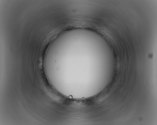 X0000093250502200709261600