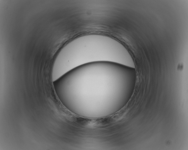 X0000093250504200709261600