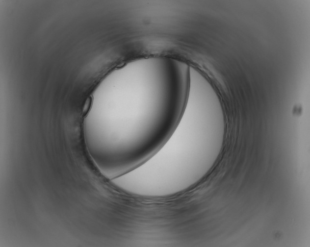 X0000093250505200709261600