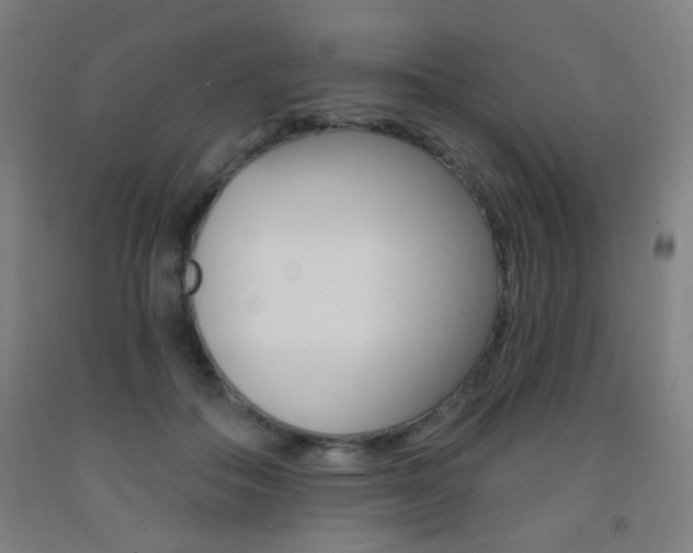 X0000093250506200709261600