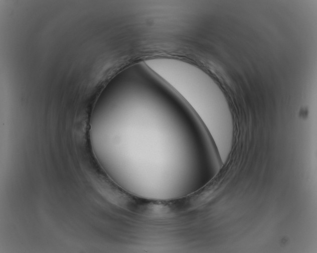 X0000093250509200709261600
