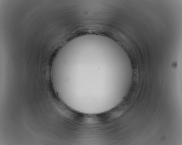 X0000093250510200709261600