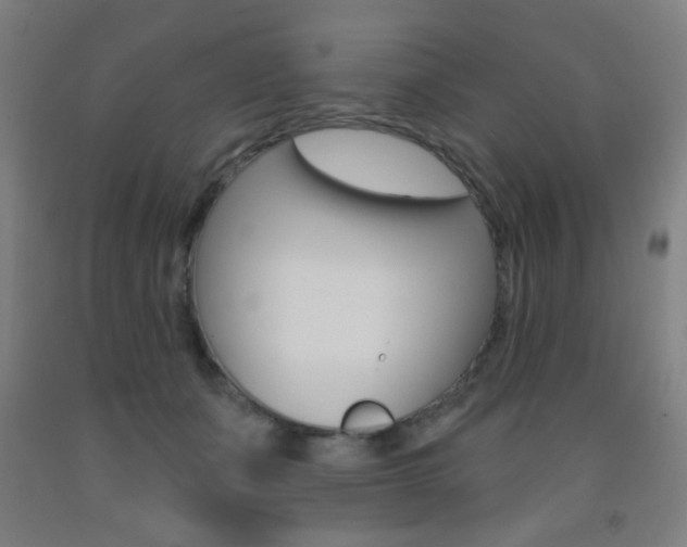 X0000093250511200709261600