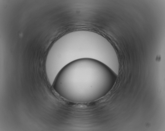 X0000093250512200709261600