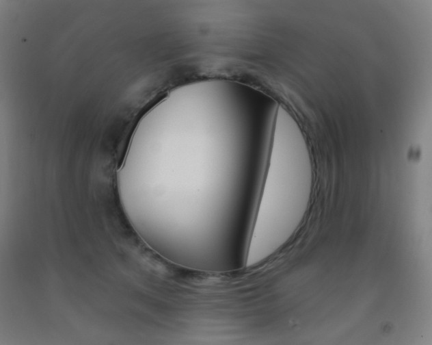 X0000093250513200709261600