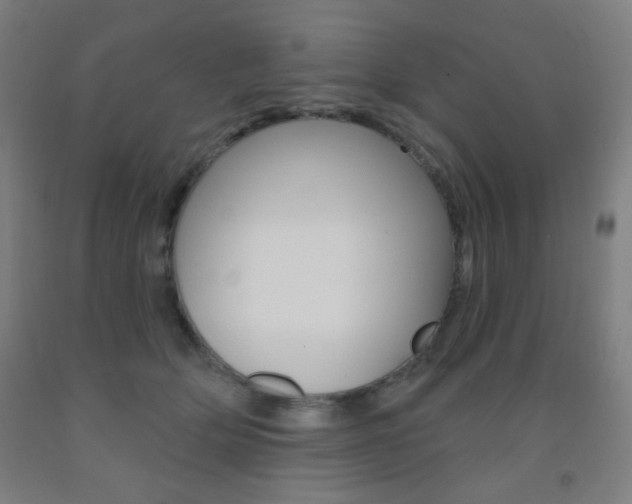 X0000093250514200709261600