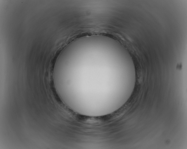 X0000093250515200709261600