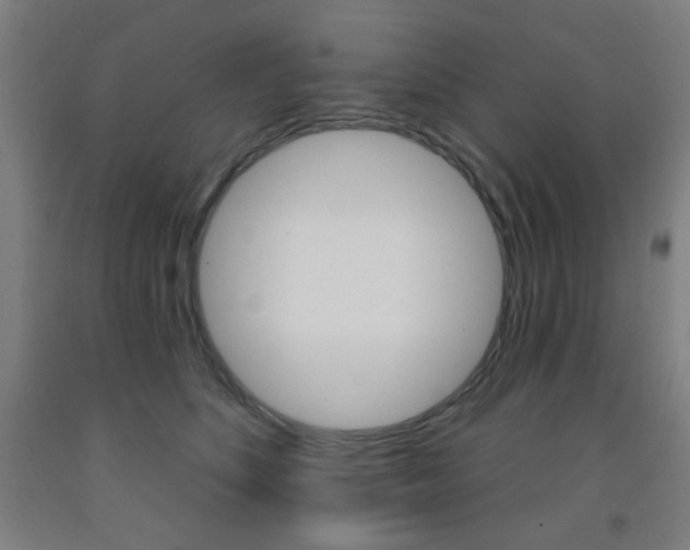 X0000093250516200709261600