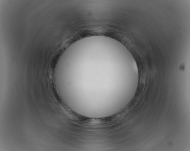 X0000093250518200709261600