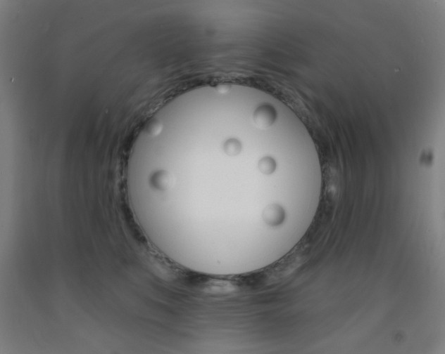 X0000093250519200709261600