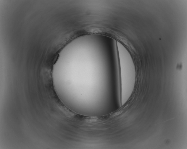 X0000093250521200709261600