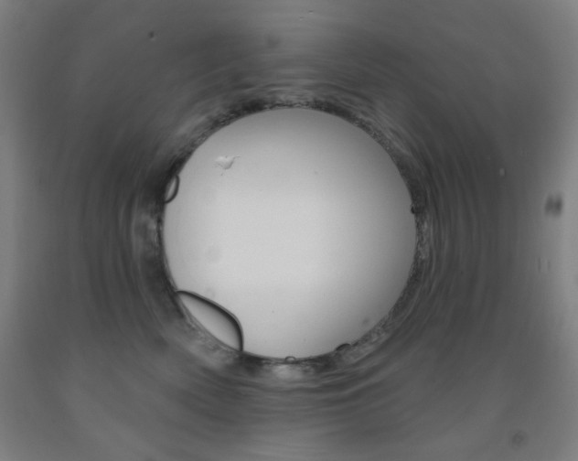 X0000093250522200709261600