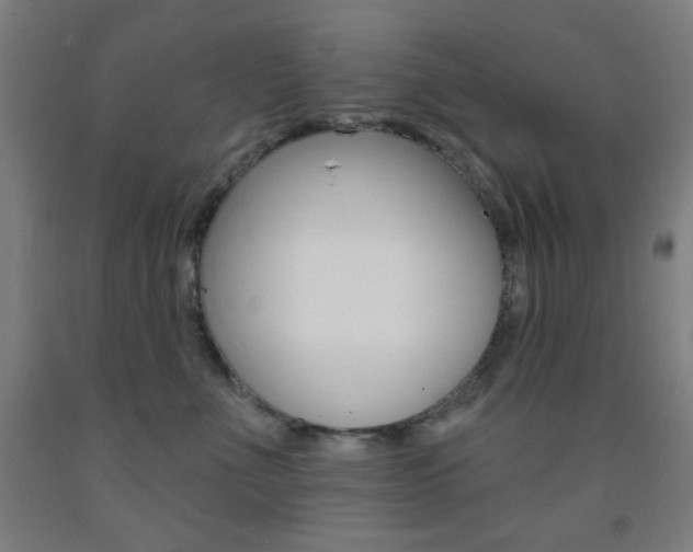 X0000093250523200709261600