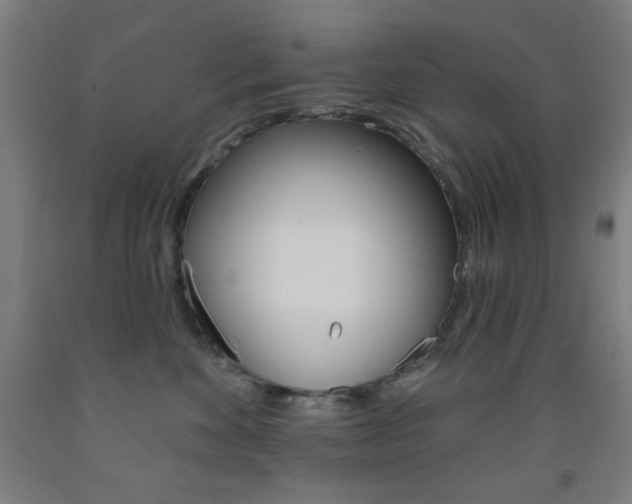 X0000093250524200709261559
