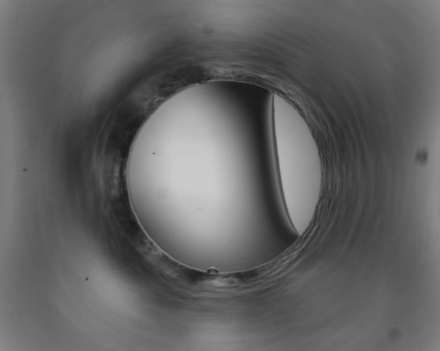 X0000093250525200709261559