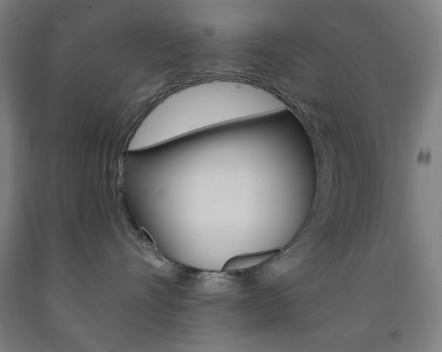 X0000093250528200709261559