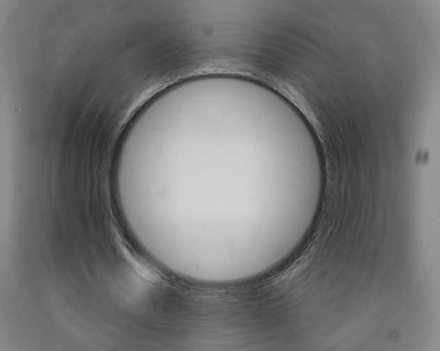 X0000093250530200709261559