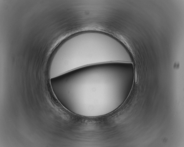 X0000093250531200709261559