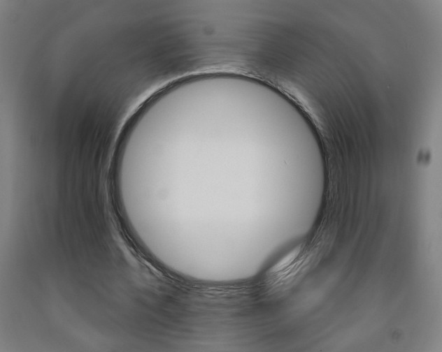 X0000093250532200709261559