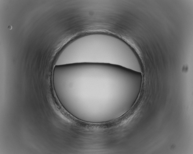 X0000093250533200709261559