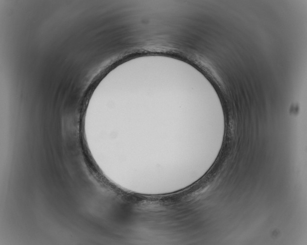X0000093250534200709261559