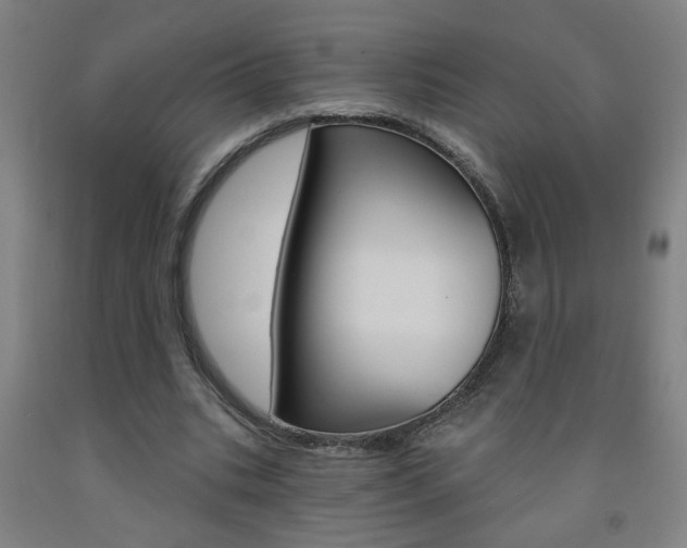 X0000093250535200709261559
