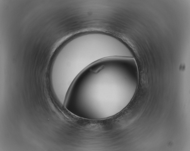 X0000093250536200709261559