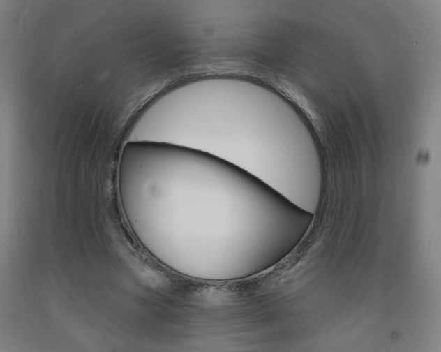 X0000093250537200709261559