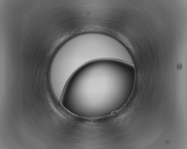 X0000093250538200709261559
