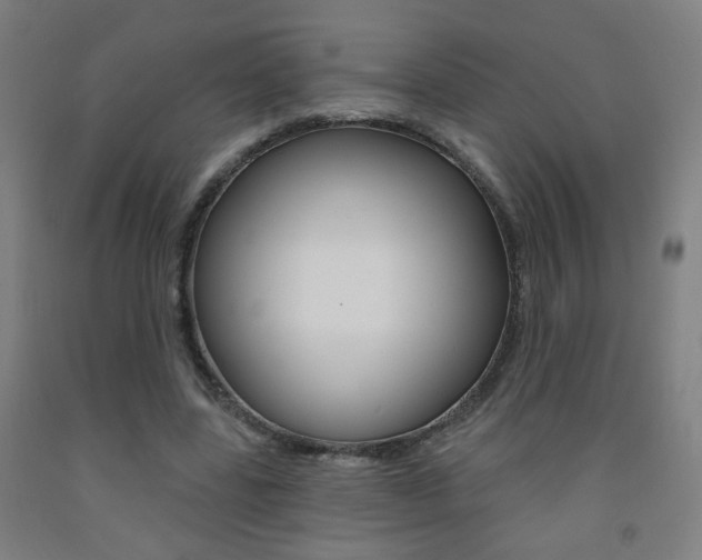 X0000093250539200709261559