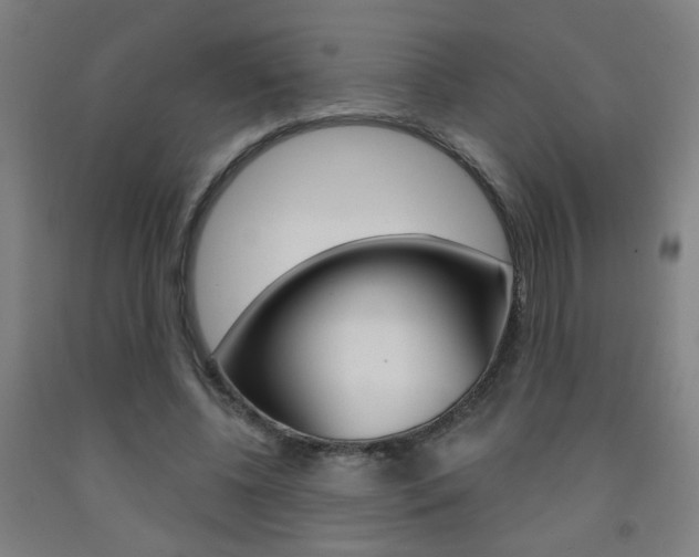 X0000093250540200709261559