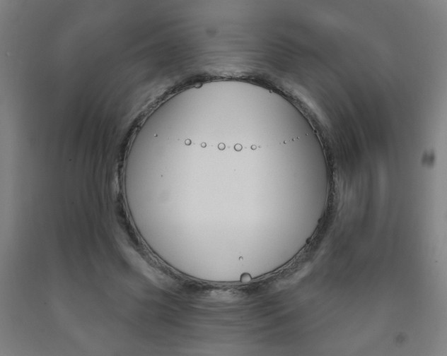 X0000093250541200709261559
