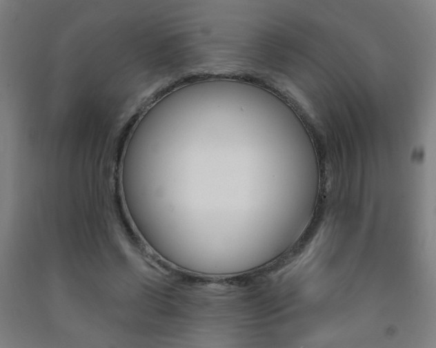 X0000093250542200709261559