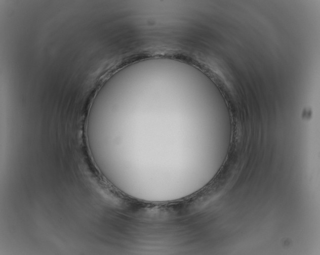 X0000093250545200709261559
