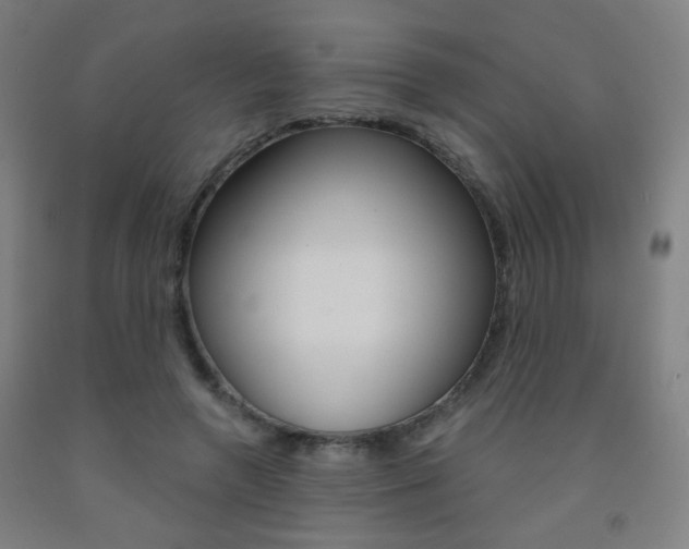 X0000093250546200709261559