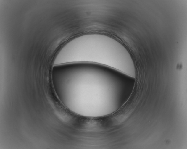 X0000093250547200709261559