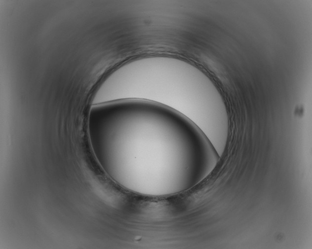 X0000093250548200709261559
