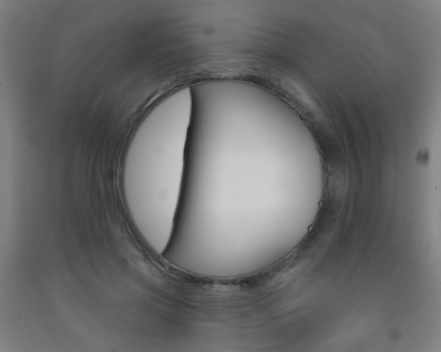 X0000093250549200709261559